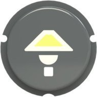 SBL-N2GR Кнопка освещение free@home, Zenit, серый, 2CLA202610N1402