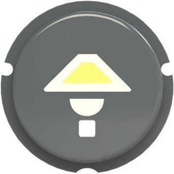 SBL-N2GR Кнопка освещение free@home, Zenit, серый, 2CLA202610N1402 в Екатеринбурге