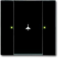 6125/02-81-500 Сенсор 1/2-клавишный, антарцит, 2CKA006115A0216